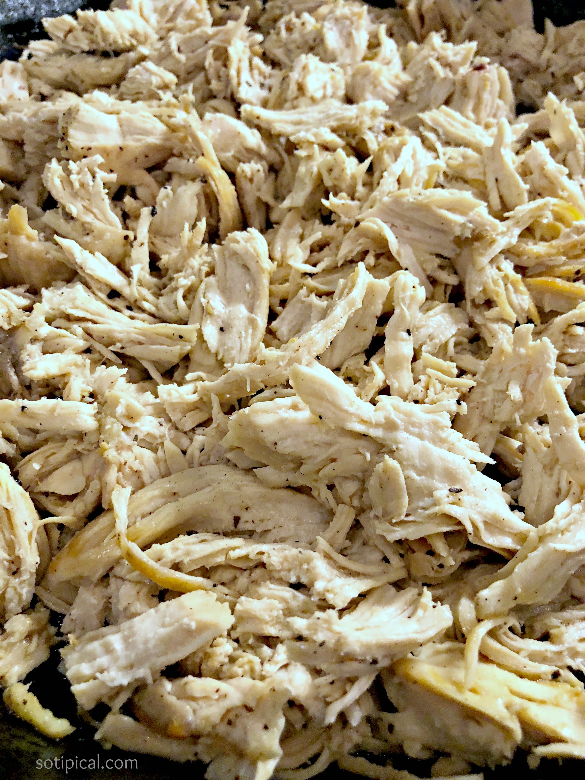 Easy Shredded Chicken - So TIPical Me