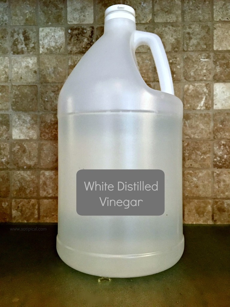 white distilled vinegar