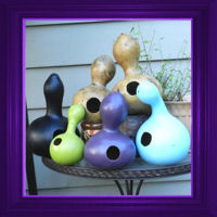 Birdhouse Gourds by The Pretty Pickle