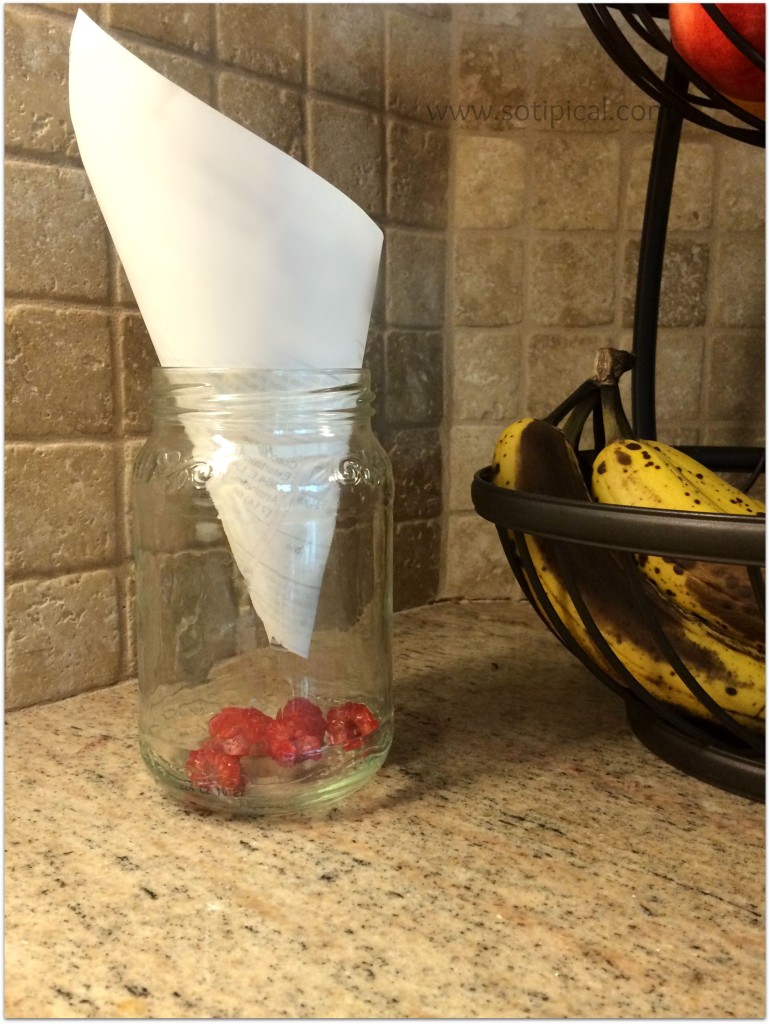 avoid fruit flies fruit jar cone