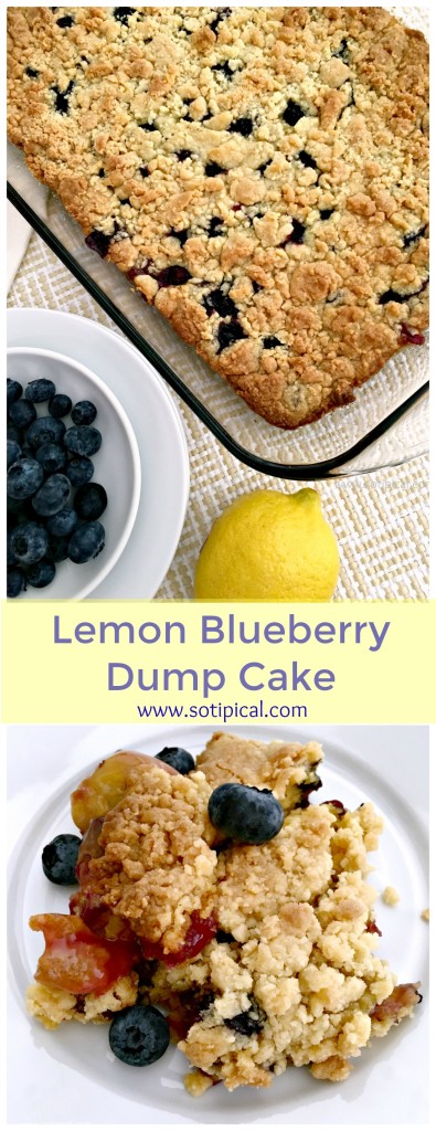 Lemon Blueberry Dump Cake Recipe - Just 4 Ingredients in this easy recipe! - So TIPical Me