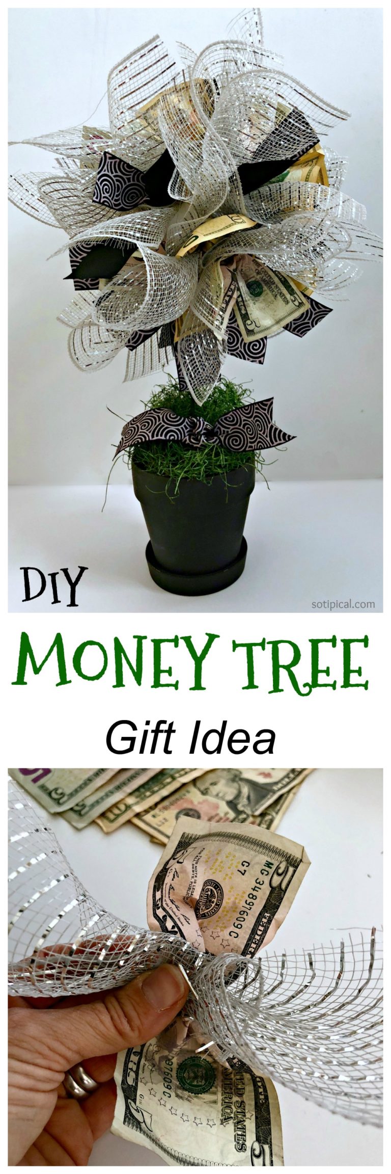 DIY Money Tree Gift Idea So TIPical Me