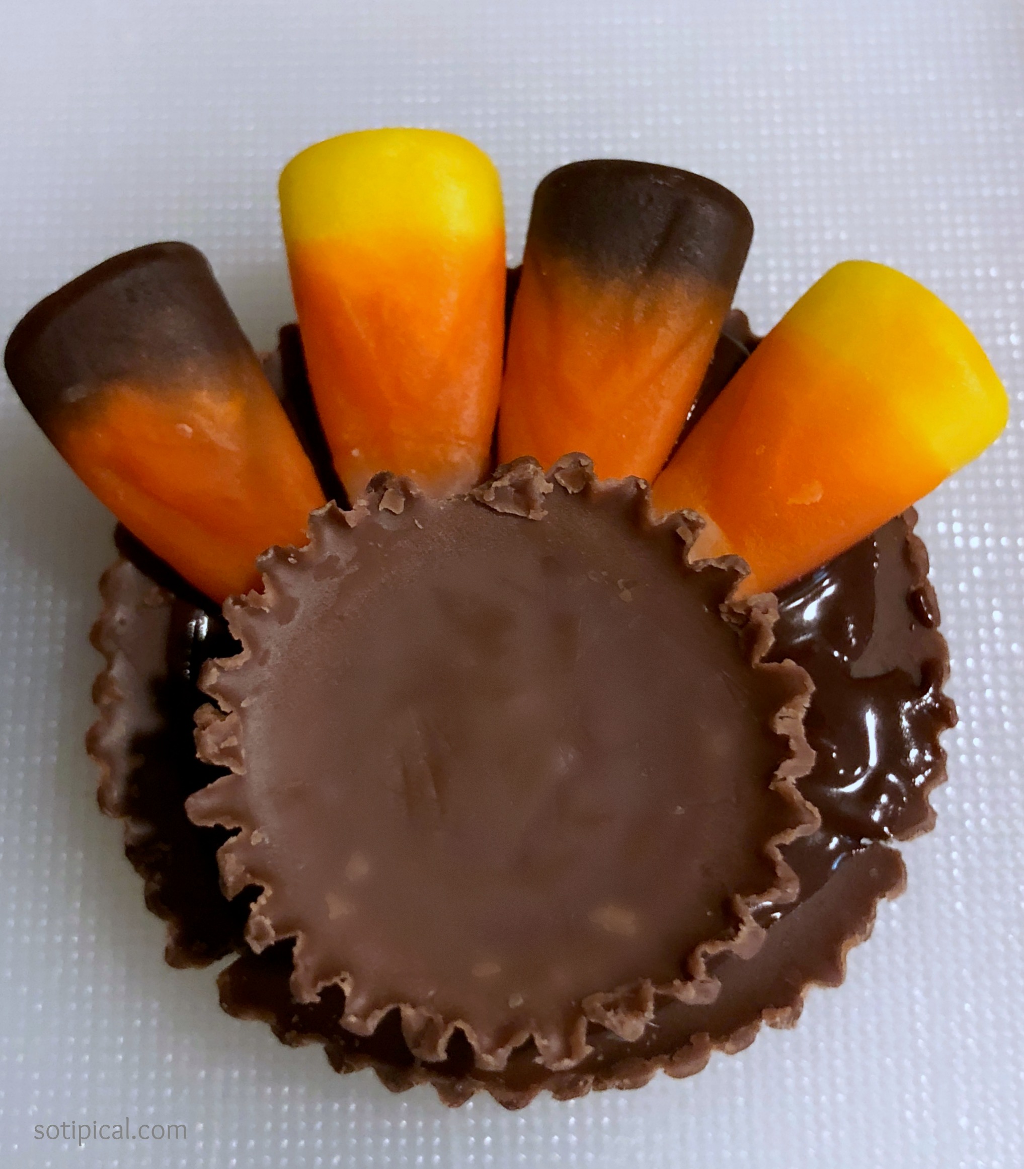 Chocolate Peanut Butter Turkeys - So TIPical Me