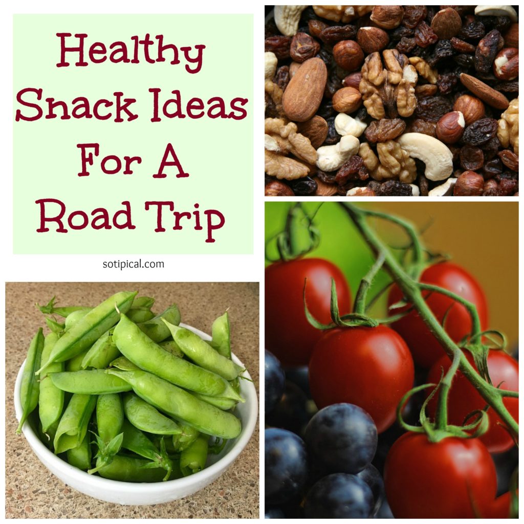 healthy snack ideas for road trip