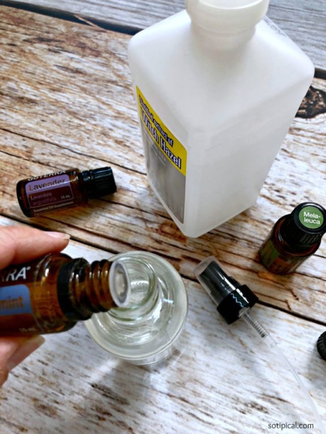 DIY Foot Odor Spray So TIPical Me